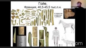 Станислав Дробышевский. Лекция «Эволюция доброты: Как общались древние люди».