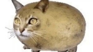 Мышка Сосиска Собачка Жвачка Кошка Картошка Куку Я Немножко