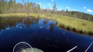 КАРЕЛИЯ.НА РЫБАЛКУ  В ТОЛВАЯРВИ.