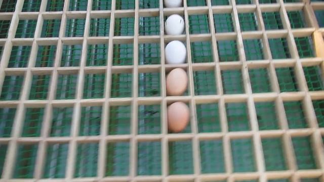 Инкубатор на 180 яиц с механическим переворотом своими руками. Гаражные самоделки смотреть онлайн