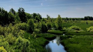 Живописная речка между Русскими Краями и трассой 33Р-015. Кикнурский район Кировская область.