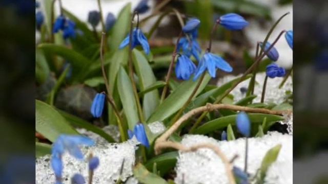 Первое видео! Начало весны смотреть онлайн