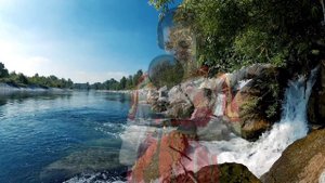 Екатерина Лесовая "На окошке два цветочка"