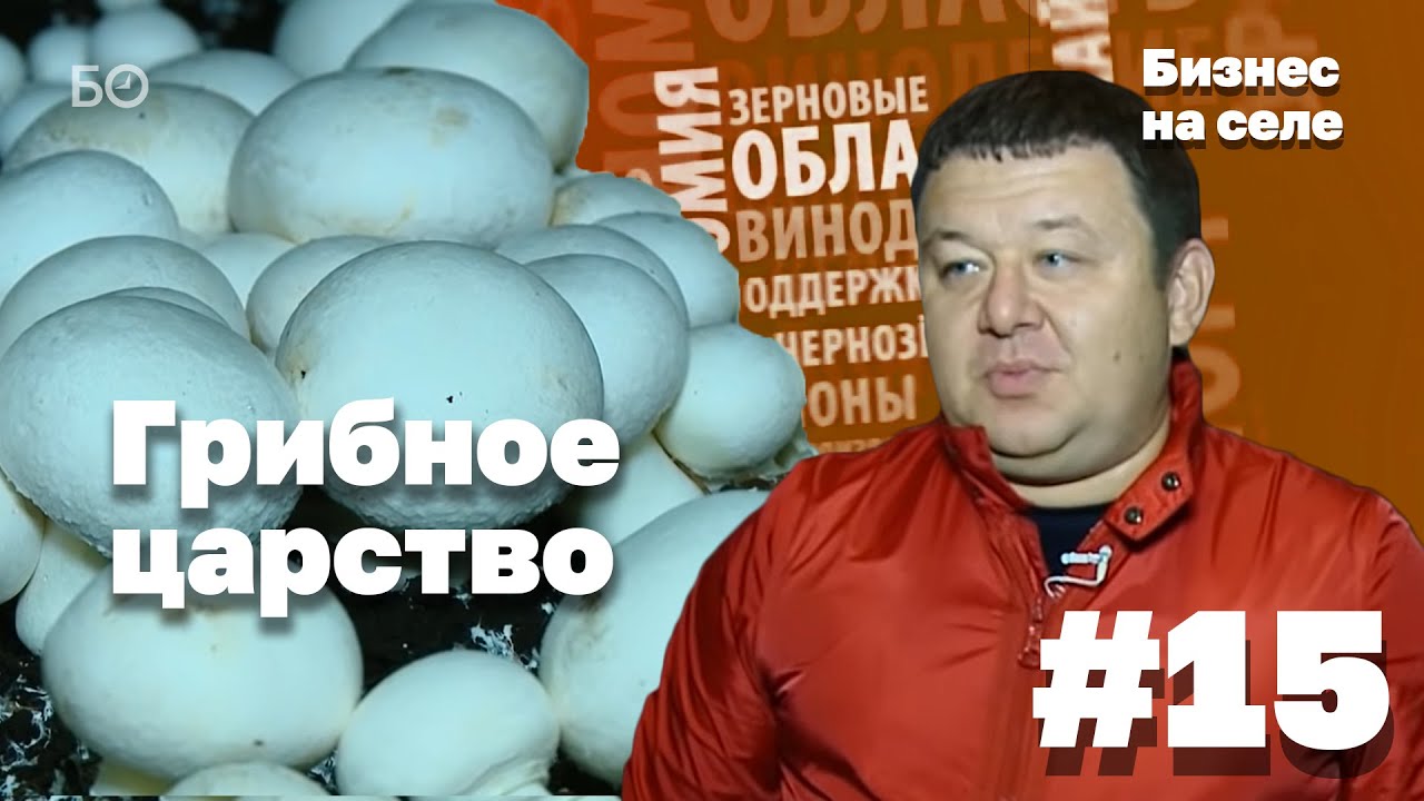 Бизнес на селе #15 | Царство грибов в Лаишевском районе