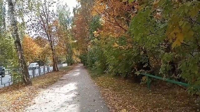 Очарование Осени.