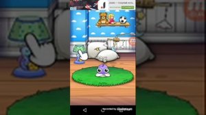 Обзор на игру Моу 5 милых животных