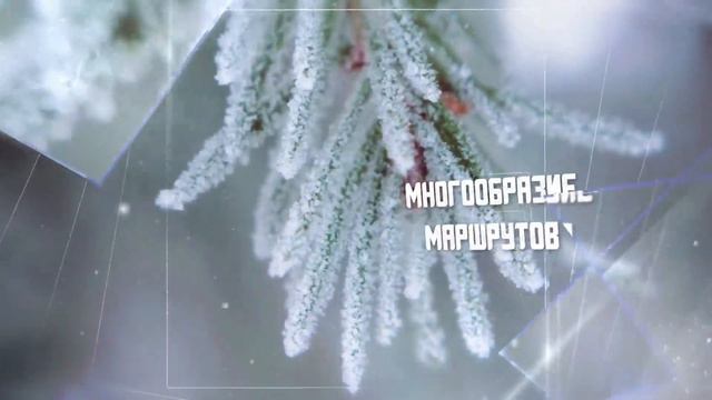Клуб Экспедиция. Зимние туры на Алтай.