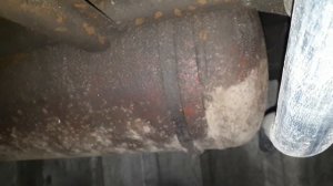 Great Wall Deer или мать их китайцы