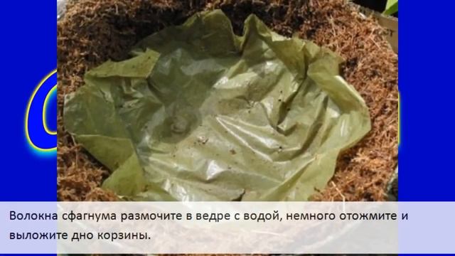 Подвесное кашпо для цветов делаем сами смотреть онлайн