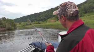 Чехонь на спиннинг