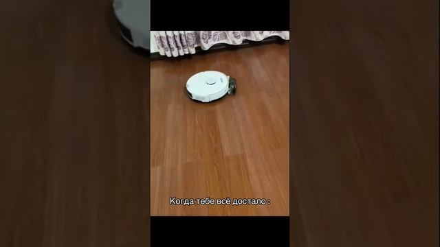 1000002150.mp4 смотреть онлайн