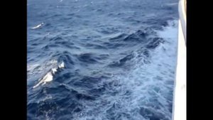 Морской круиз по Средиземному морю.