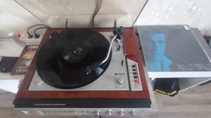 Наутилус помпилиус