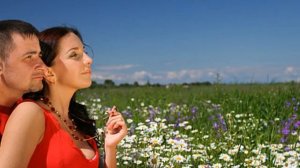 Просто всё закончилось Александр Вестов