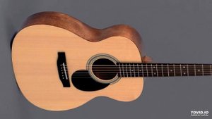 Sigma Guitar OMM-ST (Test)