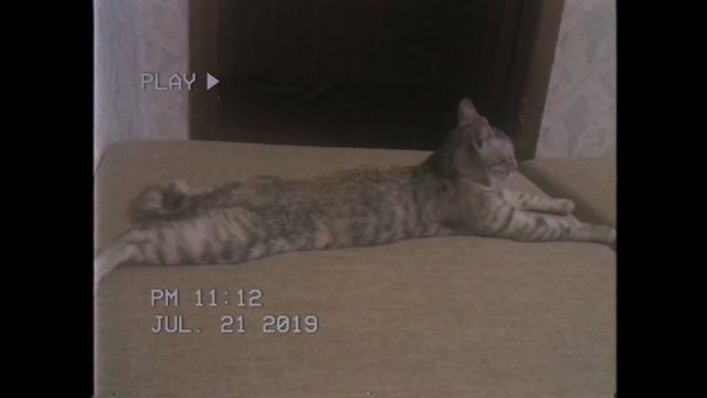 365 seconds of 2019 смотреть онлайн