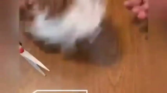 Мастер-классы педагогов смотреть онлайн