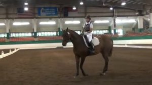 Cindy Sydnor riding Alleluia at Capital Dressage Classic - Sat 8:42 AM