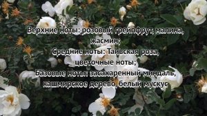 ТОП ЖЕНСКИХ АРОМАТОВ ОРИФЛЕЙМ БЮДЖЕТНАЯ ПАРФЮМЕРИЯ / VOLARE ORIFLAME