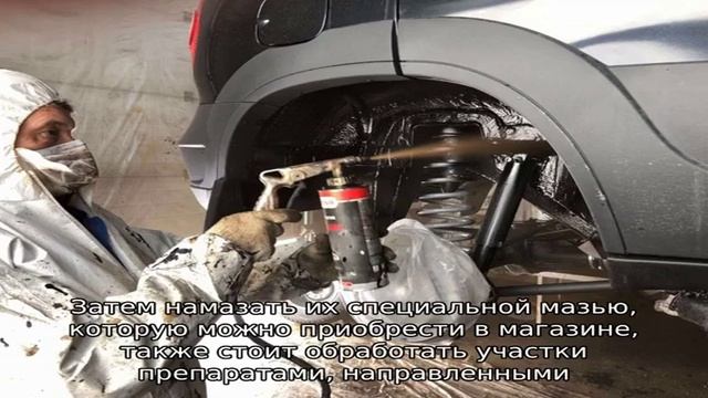 Заболевания декоративных кроликов