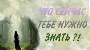 ВАЖНО!!! ИНФОРМАЦИЯ-ПРОВОДНИК ДЛЯ ПРИНЯТИЯ РЕШЕНИЯ!  Таро кармы|Таро самопознание|Таро твой путь