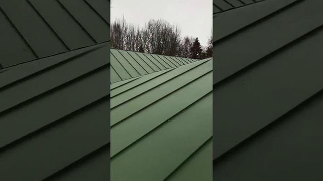 Усадьба графа Толстого Осташковский район, Бухвостово.