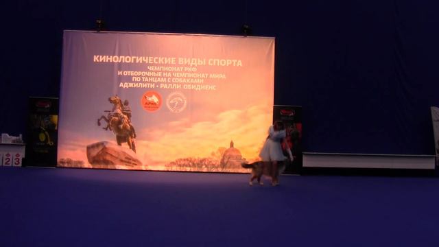 Открытый-Фристайл - Голубева Анетта  и Австралийская овчарка  Яркая удача Алдар смотреть онлайн