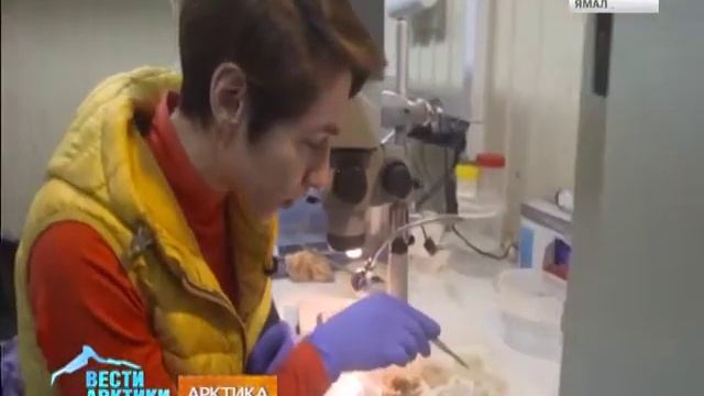 В Мурманск вернулось научное судно Росгидромета «Академик Трёшников» из высокоширотной экспедиции