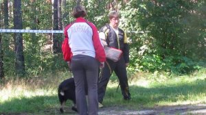 Витязь Черноокий Атаман. Моно ВЕО ранга КЧК. 12.08.2017г. Нижний Новгород