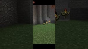 Avocados From Mexico авокадо только Minecraft