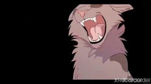 Коты воители клип твоя девочка ушла уголёк