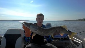 Иваньковские судачки и щучка на 6 кг.