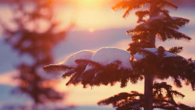 СЛАЙД-ШОУ. ЗИМНЯЯ ПРИРОДА ФОТО.