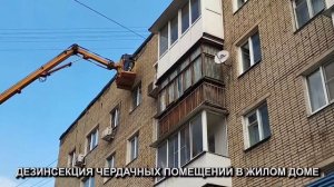 Дезинсекция чердачного помещения в жилом доме