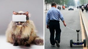 Наш мир – это антиутопия