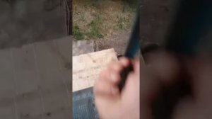 Белка пришла. Белочка пришла, белочка укусила