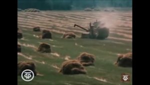 Песня "Возвращайся сюда" из телефильма "Премьера в Сосновке" (1986)