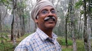 Каучуковое дерево. Производство каучука.