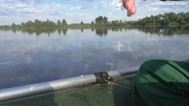 Рыбалка на леща,снастью кольцо ,яйца смотреть онлайн