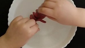 ИГРОЛЕНД Игрушка _Паук-пришелец_, превращающаяся в воде _ вылупляющиеся яйцо паука (1).mp4