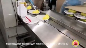 Производство одноразовой посуды любой комплектации с вашим логотипом