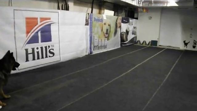 Юля и Мартин 10 занятий и ОКД сдали смотреть онлайн