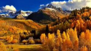 Ты знаешь Бог, я сказочно богата. Стихотворение