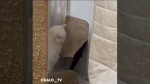 Когда обещал ей прийти пораньше а пришел как всегда.