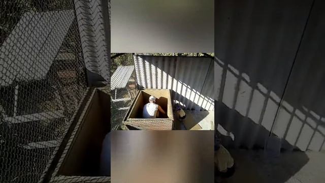 Вольер для Овчарки и будка! смотреть онлайн