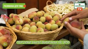 «Московские ярмарки»: попробуйте лунный персик