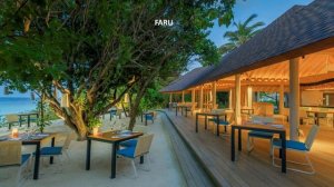 Dhigali Maldives 5*. Отели на Мальдивах. Обзор отеля