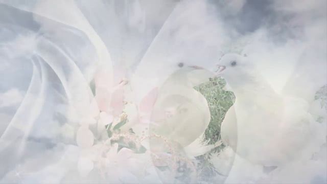 "Одинокий голубь "Людмила Якушева-канал-Музыка Любви и Надежды -Людмила Бурачевская смотреть онлайн