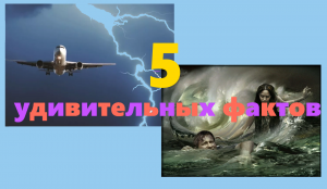 5 увлекательных фактов