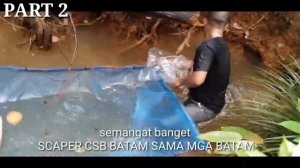 PART 2 HUNTING IKAN MACULATA RASBORA  BORDIKIS STEP BY STEP AQUASCAPE